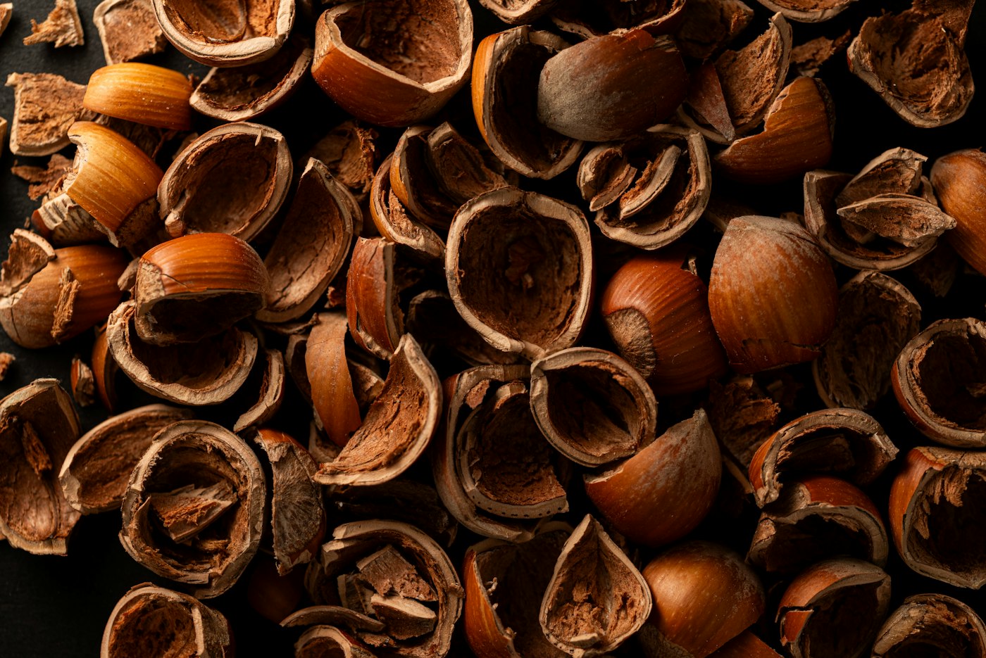Hazelnuts and cracked shells
