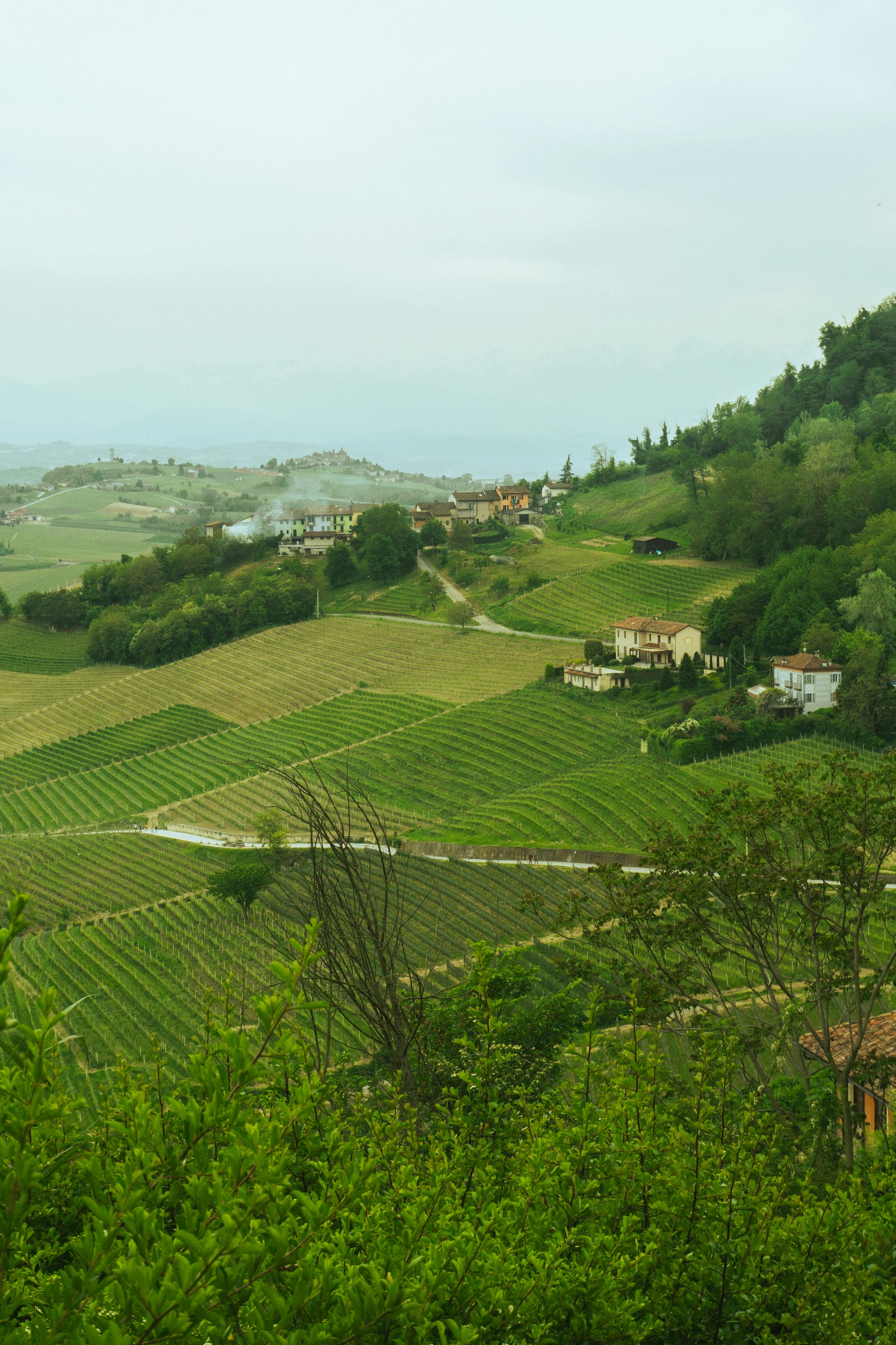 Rolling hills and farmhouses of Piedmont